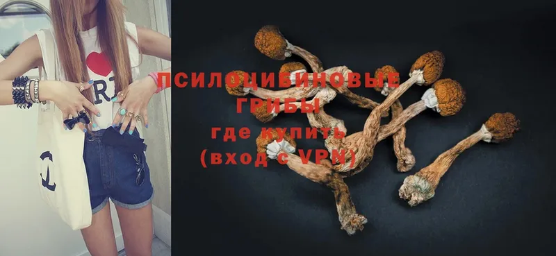 Псилоцибиновые грибы Psilocybe Волосово